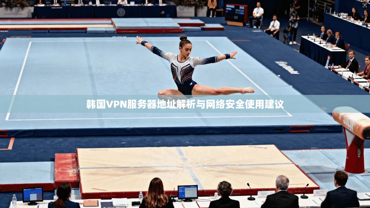 韩国VPN服务器地址解析与网络安全使用建议