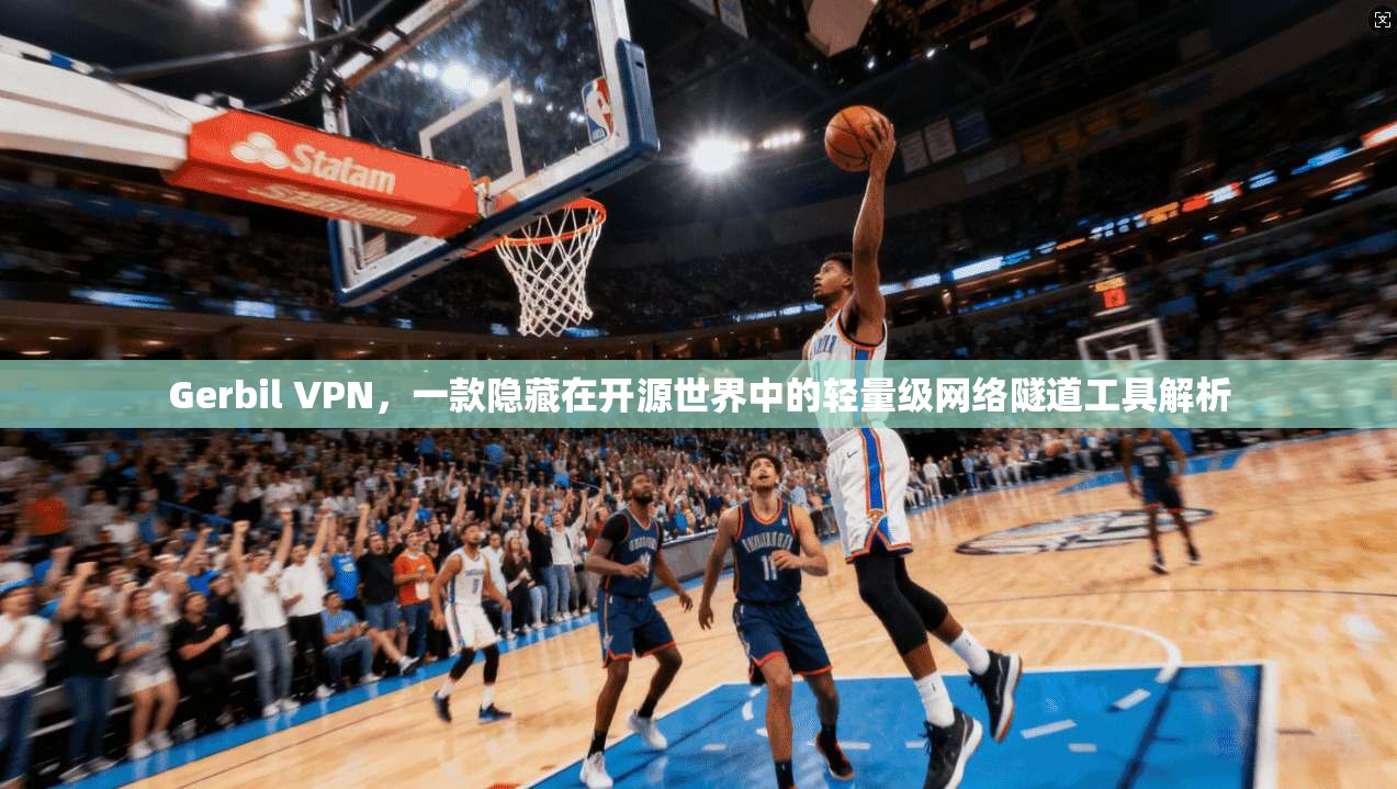 Gerbil VPN，一款隐藏在开源世界中的轻量级网络隧道工具解析