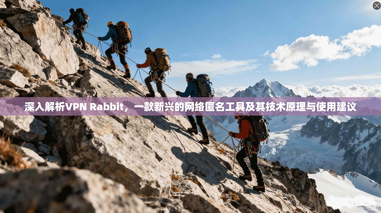 深入解析VPN Rabbit，一款新兴的网络匿名工具及其技术原理与使用建议