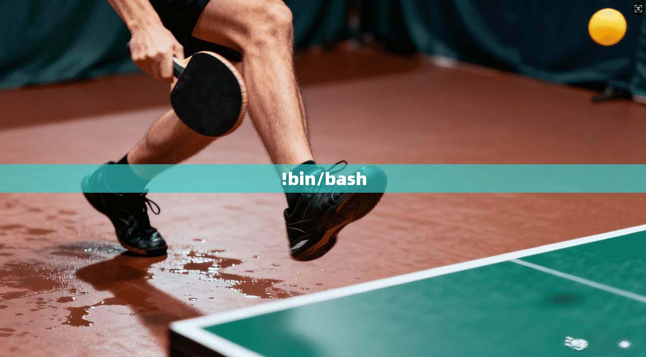 !bin/bash
