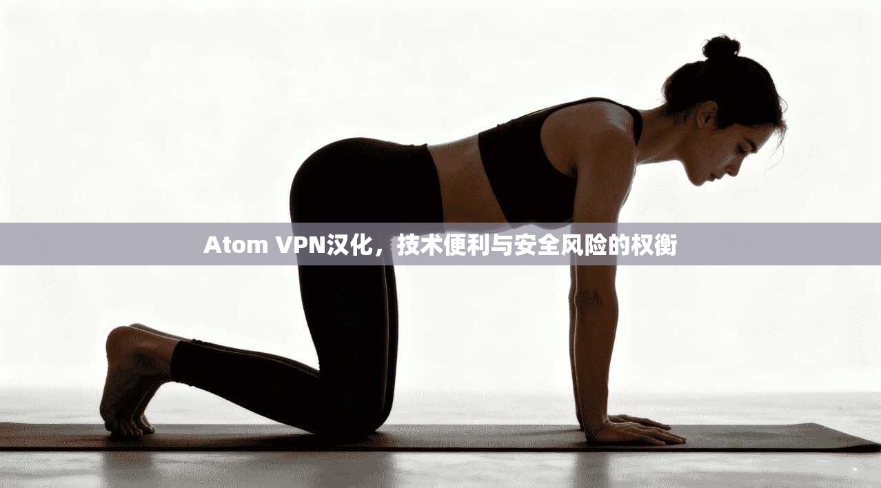 Atom VPN汉化，技术便利与安全风险的权衡