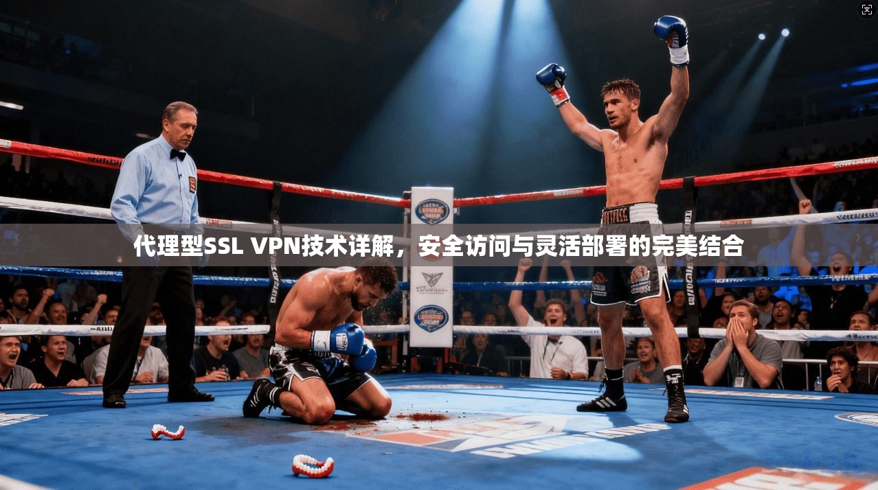 代理型SSL VPN技术详解，安全访问与灵活部署的完美结合