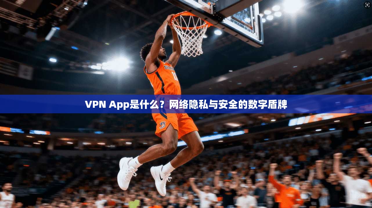 VPN App是什么？网络隐私与安全的数字盾牌