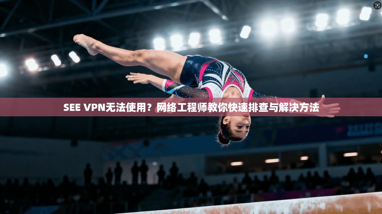 SEE VPN无法使用？网络工程师教你快速排查与解决方法