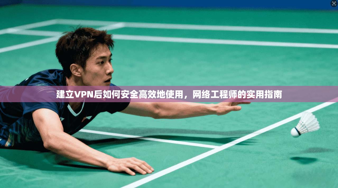 建立VPN后如何安全高效地使用，网络工程师的实用指南