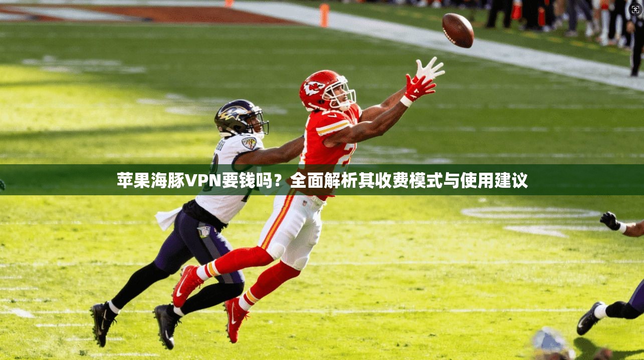 苹果海豚VPN要钱吗?全面解析其收费模式与使用建议