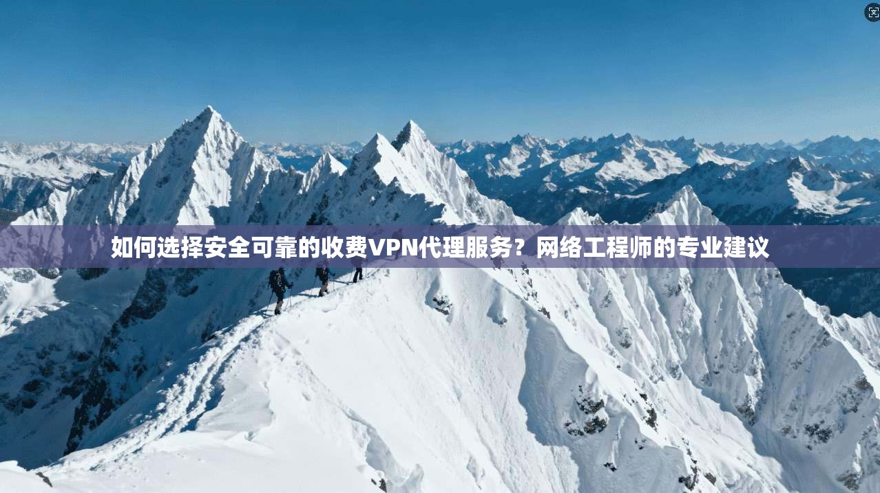 如何选择安全可靠的收费VPN代理服务?网络工程师的专业建议