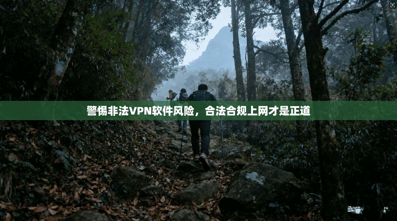 警惕非法VPN软件风险，合法合规上网才是正道