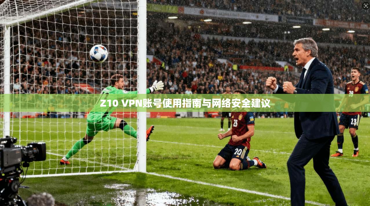 Z10 VPN账号使用指南与网络安全建议