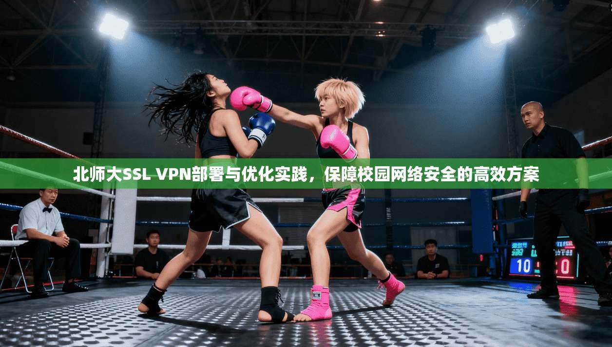 北师大SSL VPN部署与优化实践，保障校园网络安全的高效方案