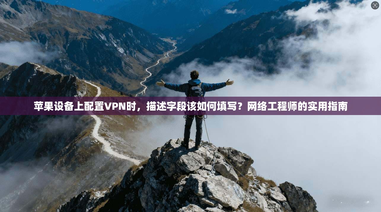 苹果设备上配置VPN时,描述字段该如何填写?网络工程师的实用指南