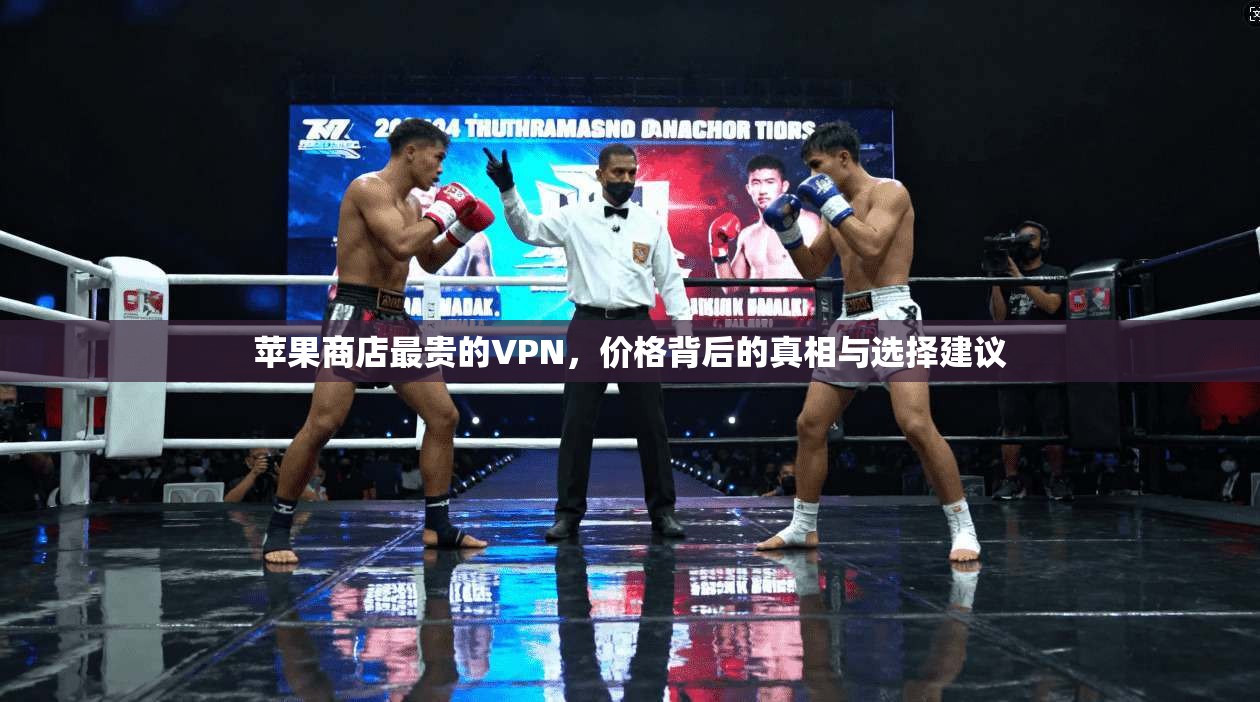 苹果商店最贵的VPN,价格背后的真相与选择建议