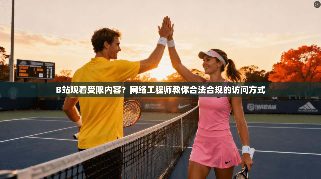 B站观看受限内容？网络工程师教你合法合规的访问方式