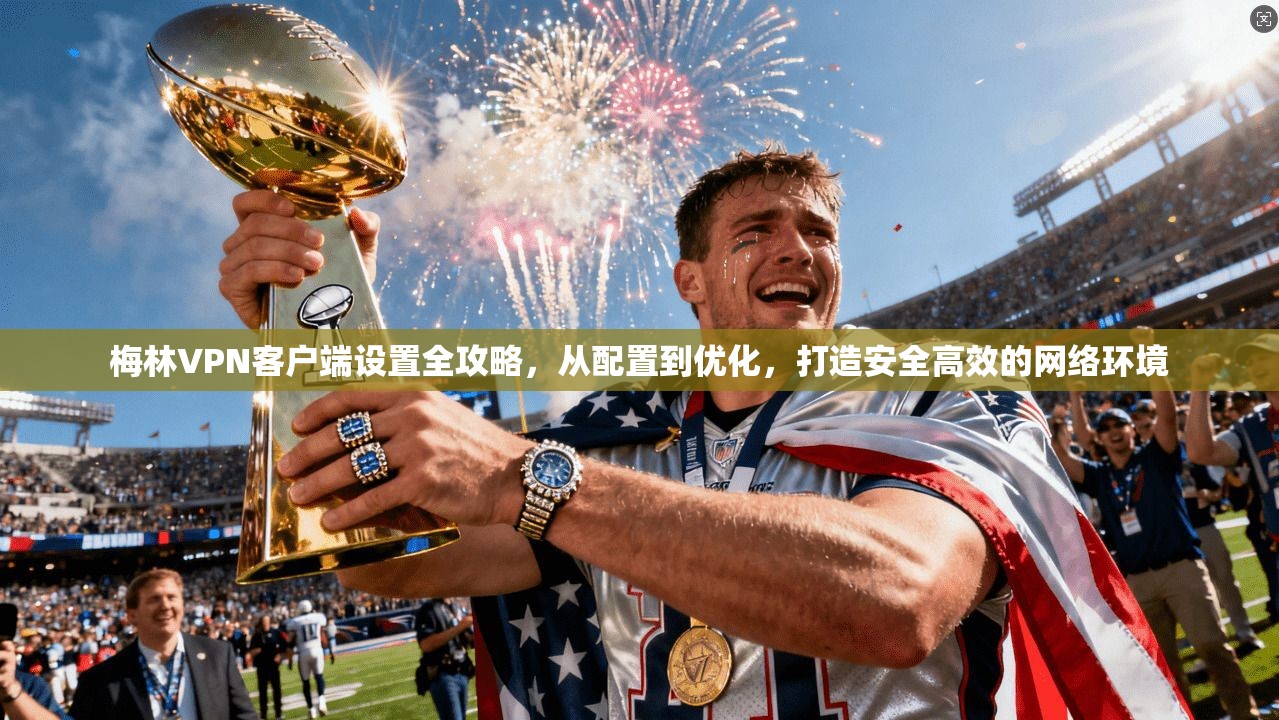 梅林VPN客户端设置全攻略，从配置到优化，打造安全高效的网络环境