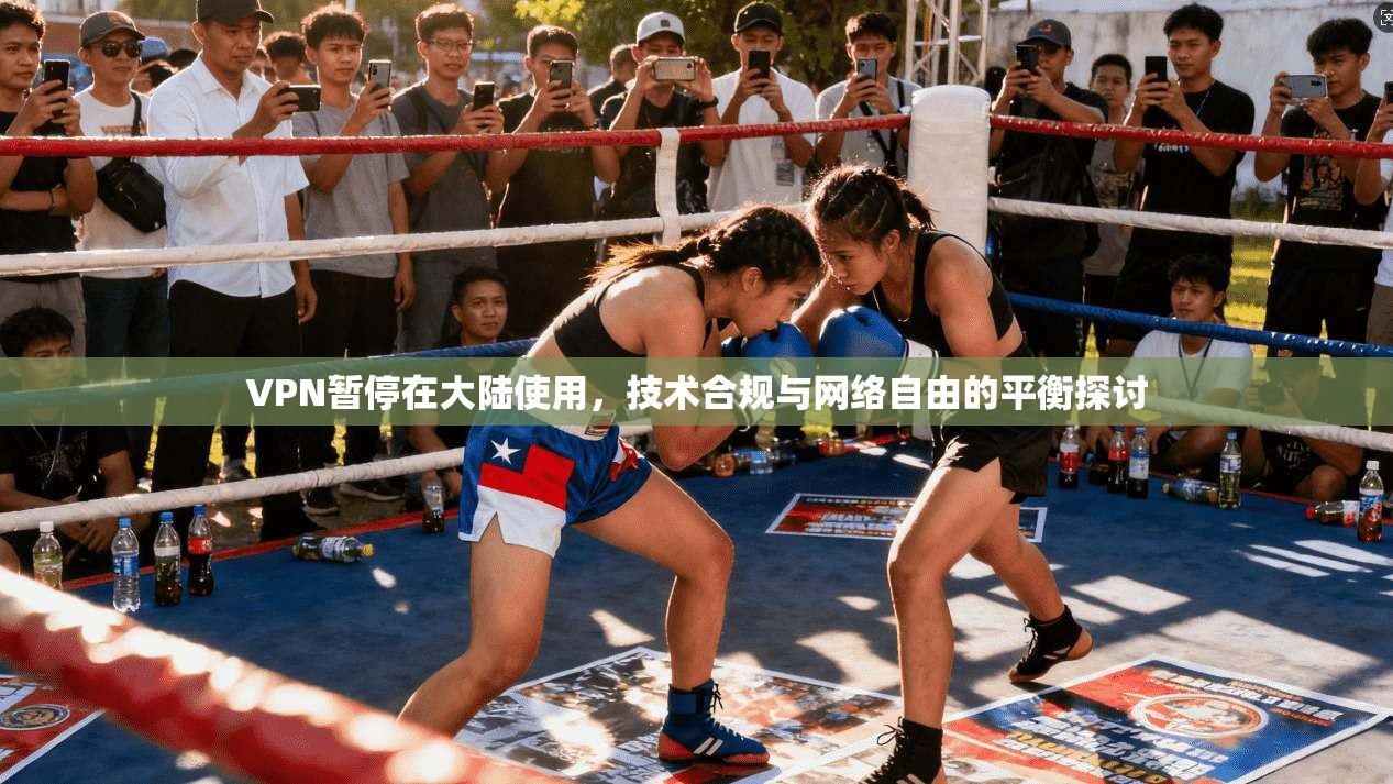 VPN暂停在大陆使用，技术合规与网络自由的平衡探讨