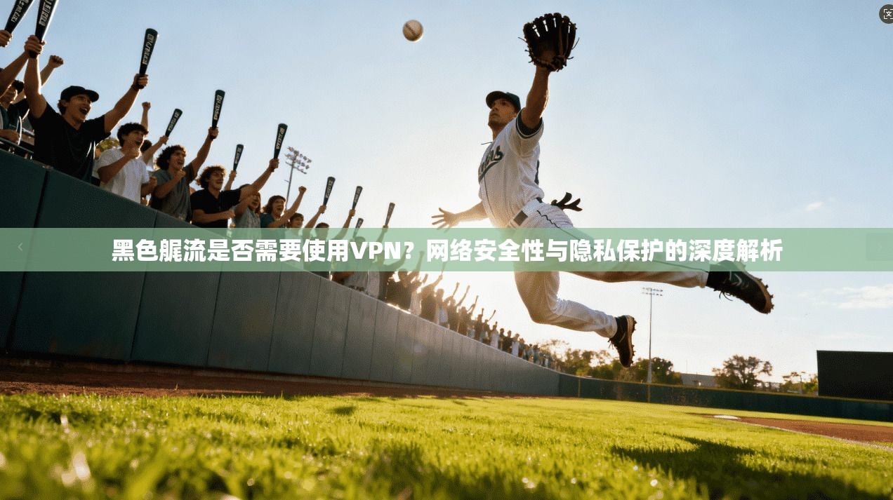 黑色艉流是否需要使用VPN？网络安全性与隐私保护的深度解析