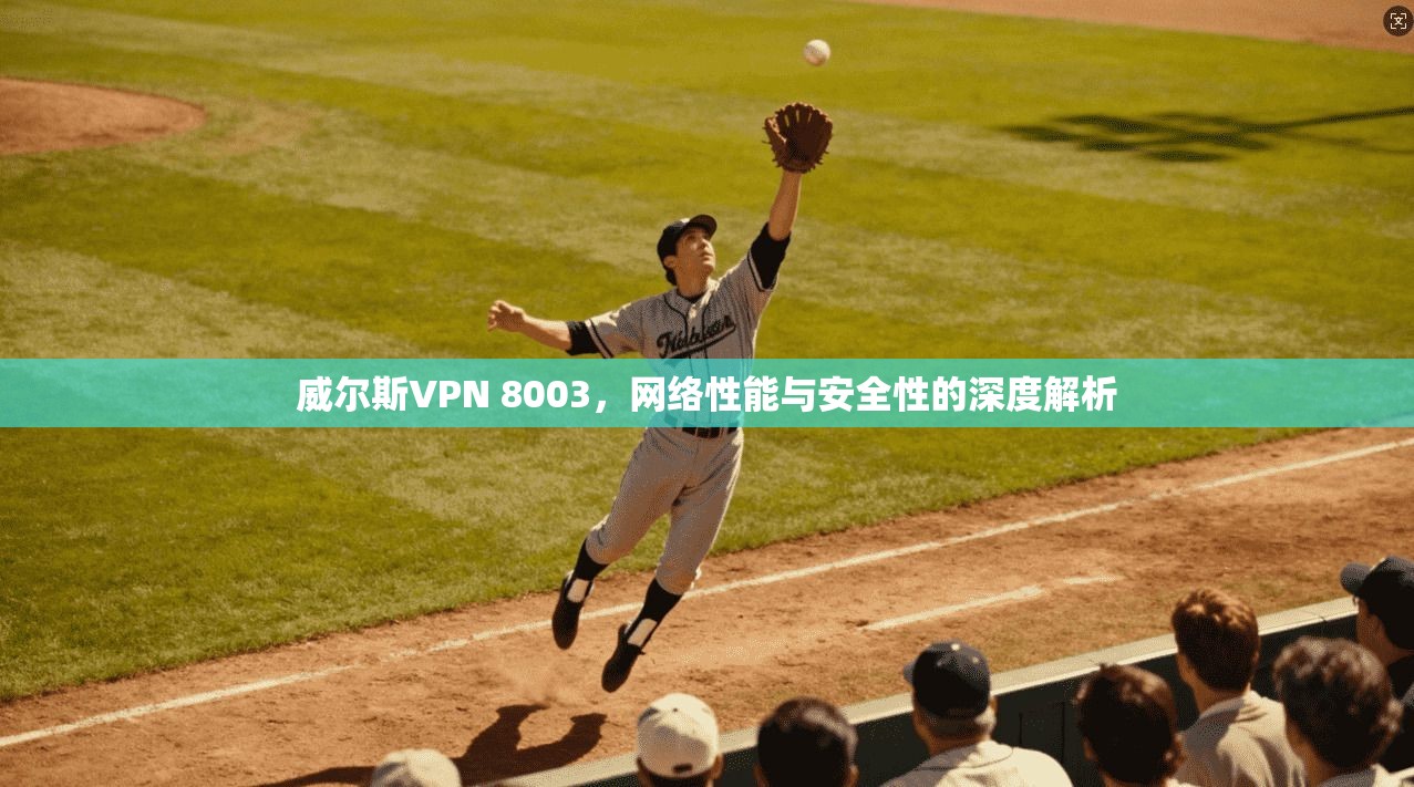 威尔斯VPN 8003,网络性能与安全性的深度解析