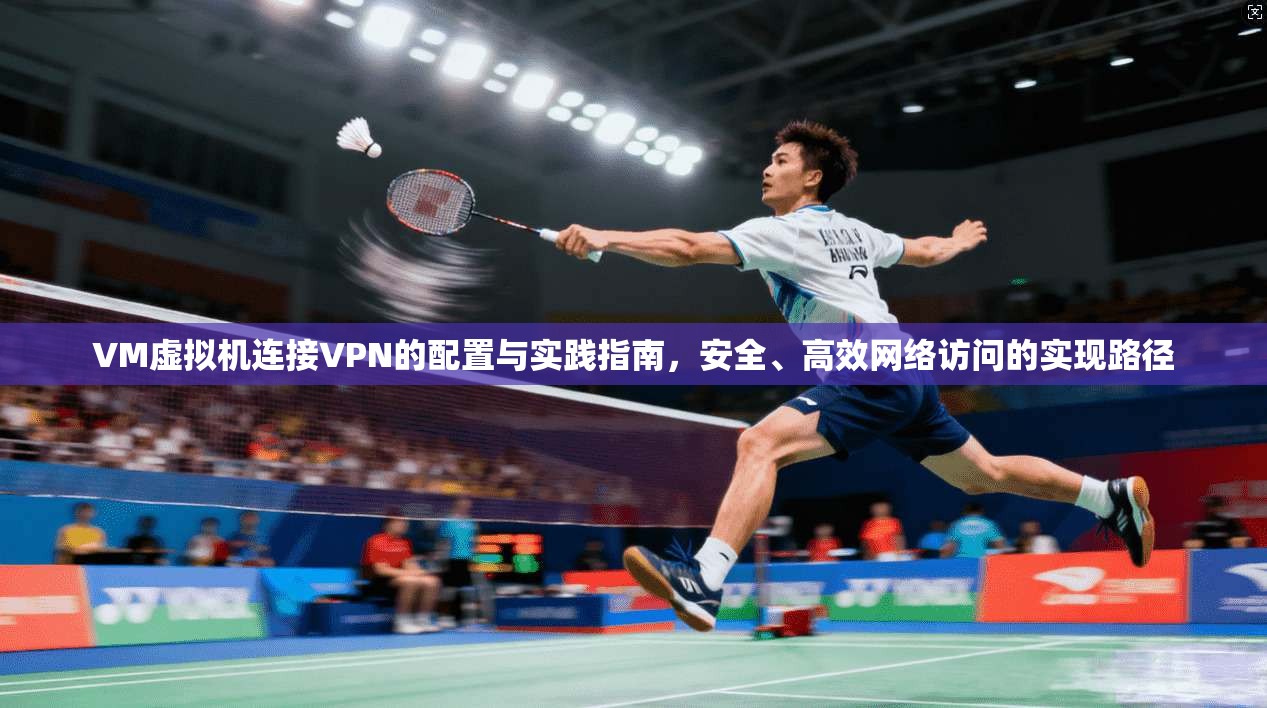 VM虚拟机连接VPN的配置与实践指南，安全、高效网络访问的实现路径