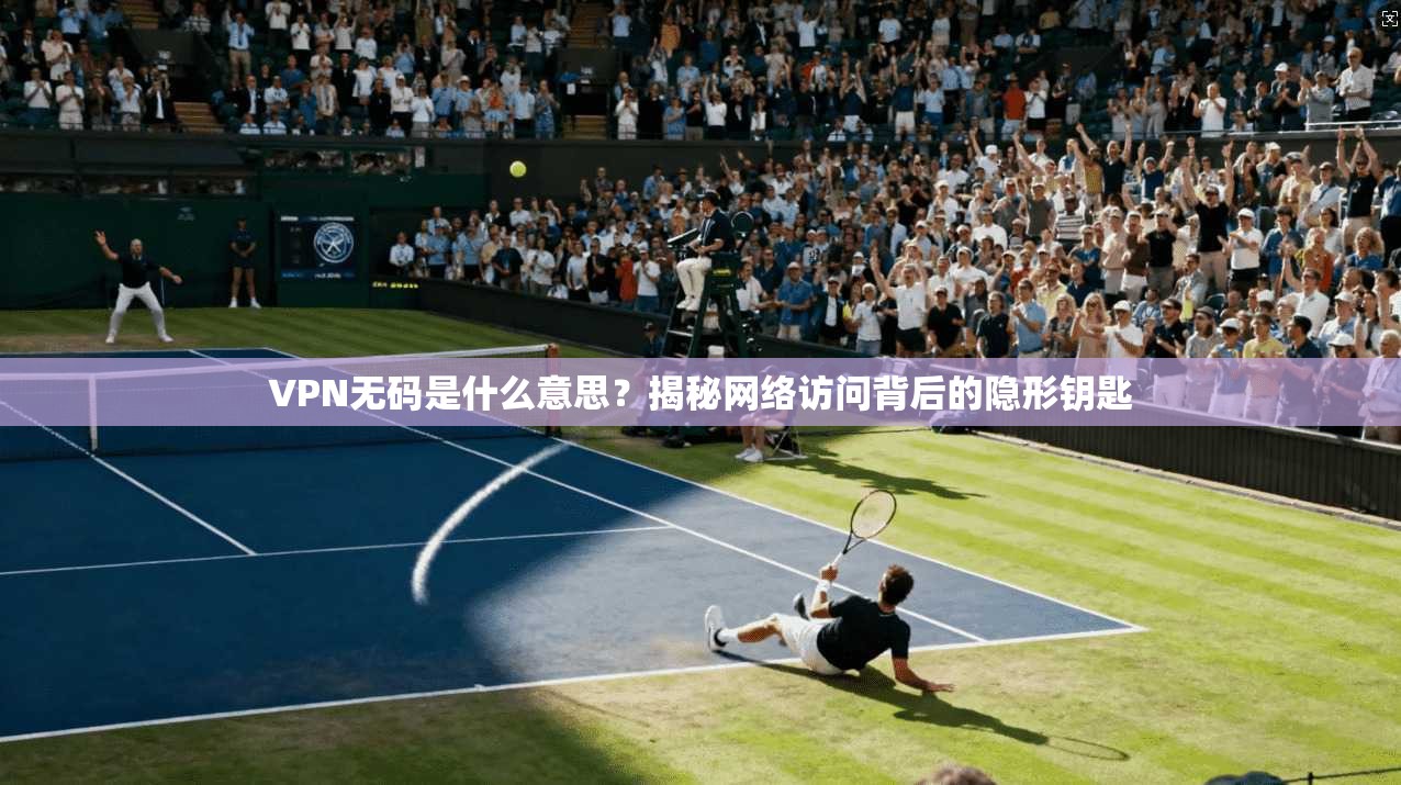 VPN无码是什么意思?揭秘网络访问背后的隐形钥匙