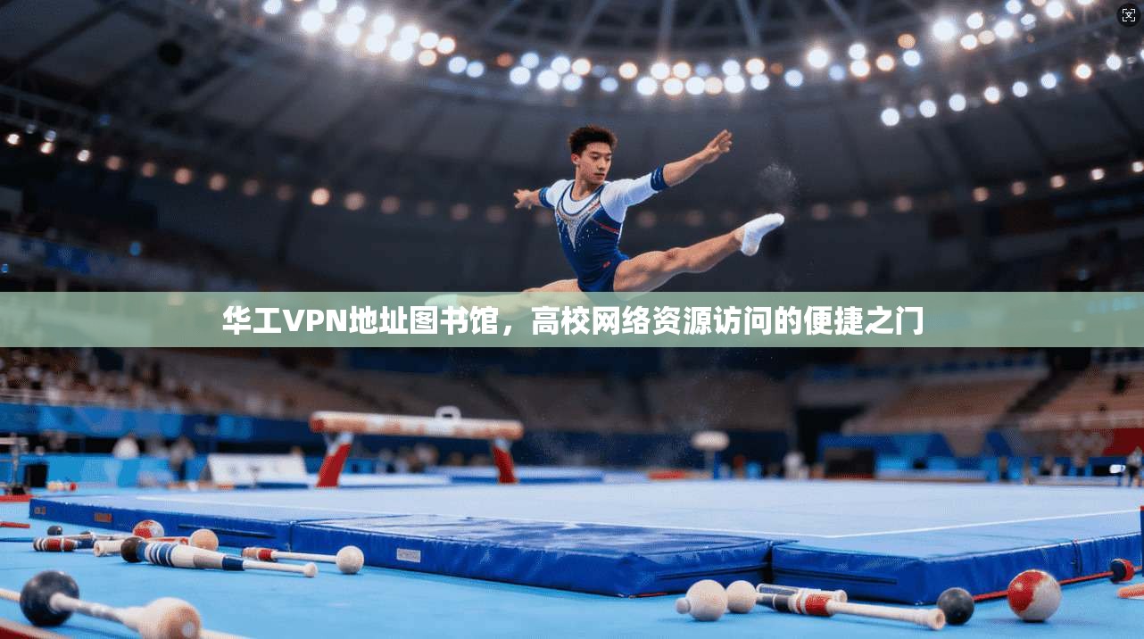 华工VPN地址图书馆，高校网络资源访问的便捷之门