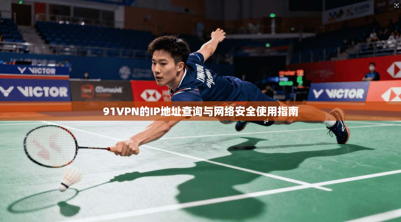 91VPN的IP地址查询与网络安全使用指南