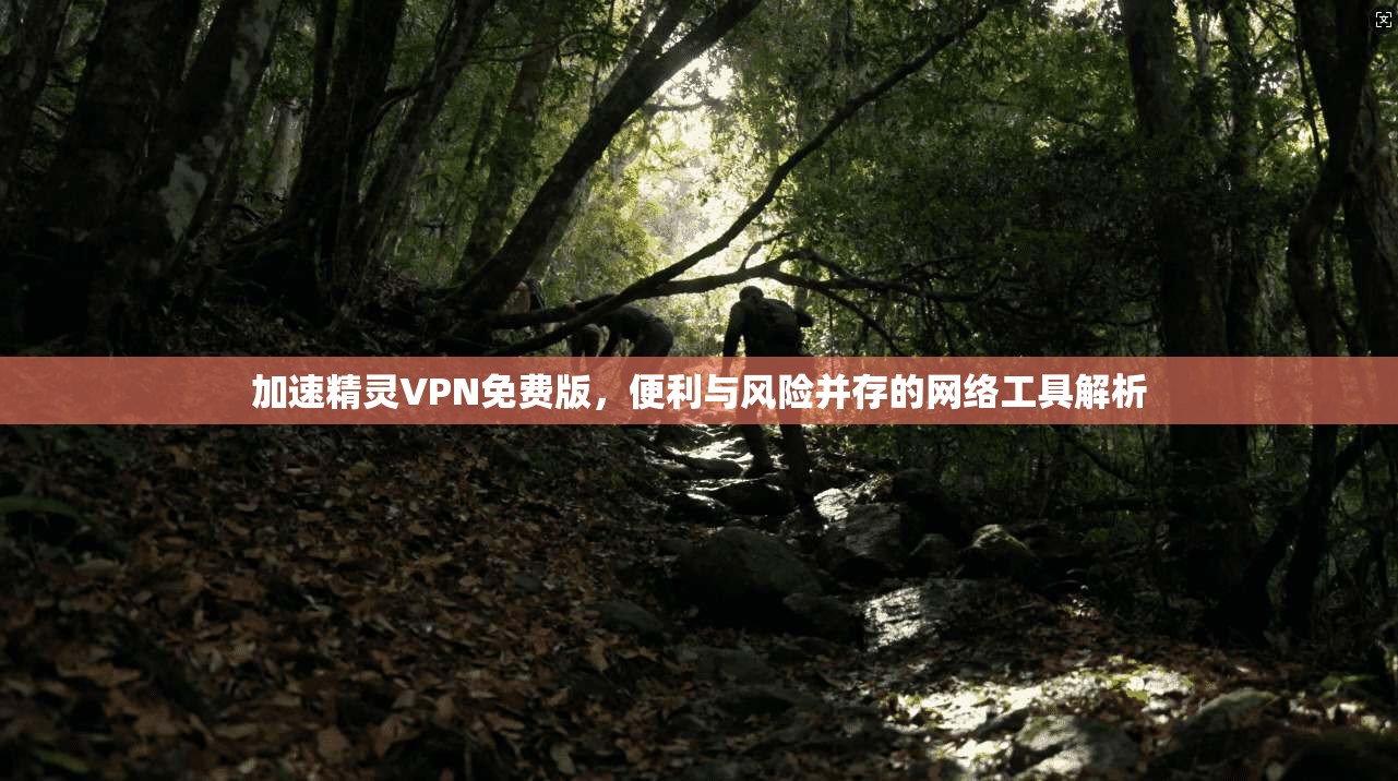 加速精灵VPN免费版，便利与风险并存的网络工具解析