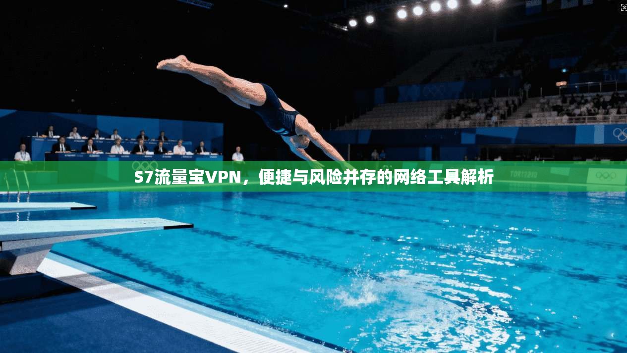 S7流量宝VPN，便捷与风险并存的网络工具解析