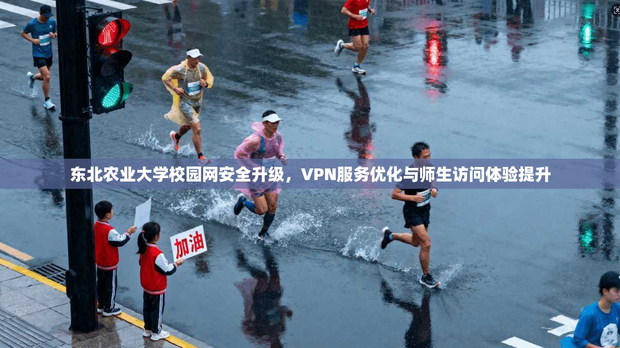 东北农业大学校园网安全升级，VPN服务优化与师生访问体验提升