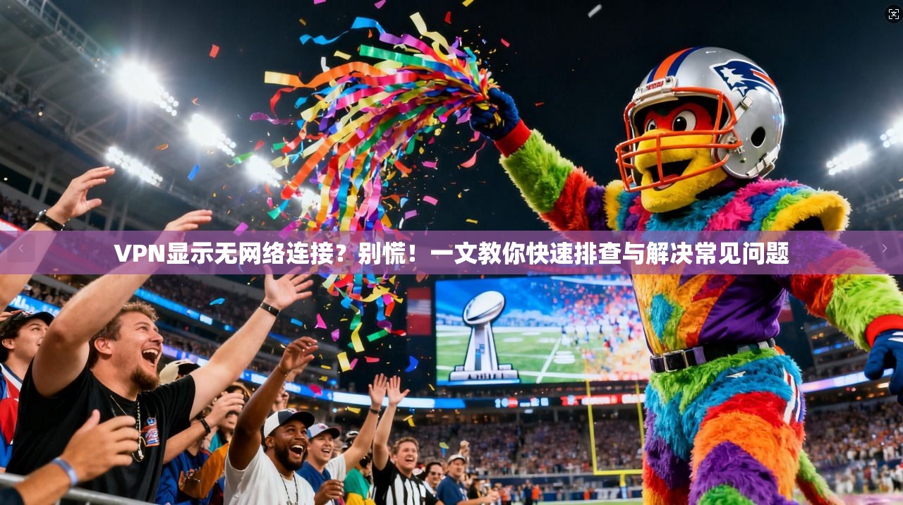 VPN显示无网络连接?别慌!一文教你快速排查与解决常见问题