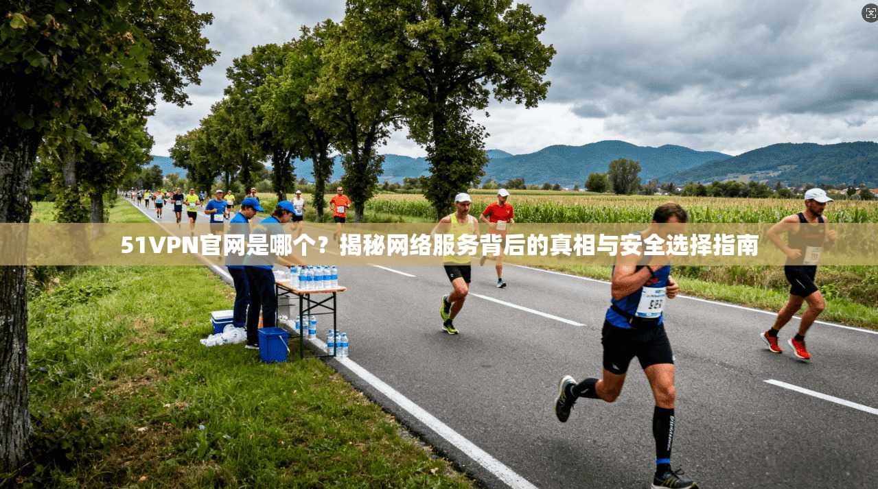 51VPN官网是哪个？揭秘网络服务背后的真相与安全选择指南