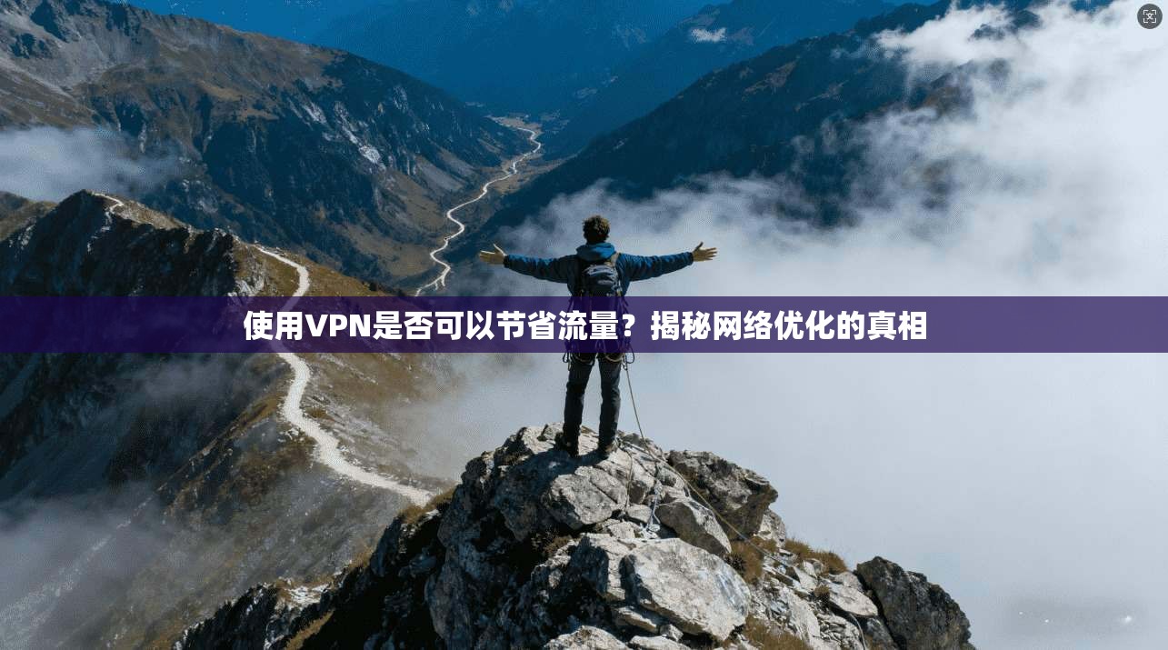 使用VPN是否可以节省流量？揭秘网络优化的真相
