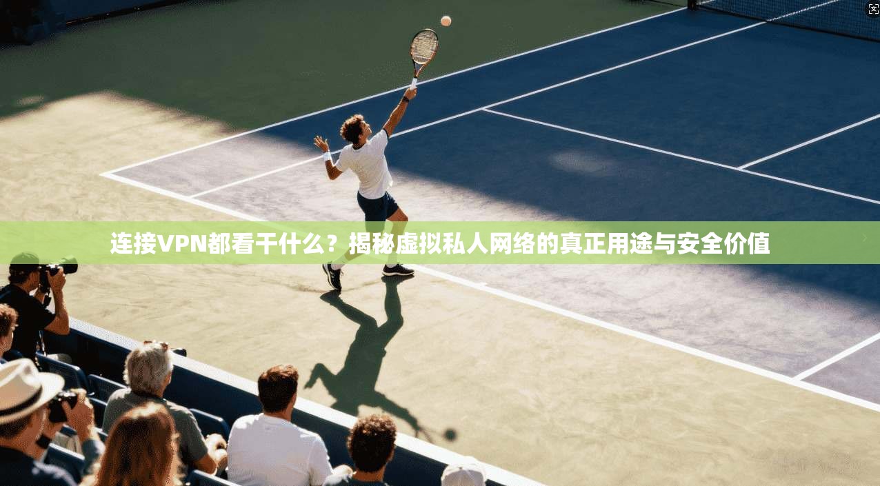 连接VPN都看干什么？揭秘虚拟私人网络的真正用途与安全价值