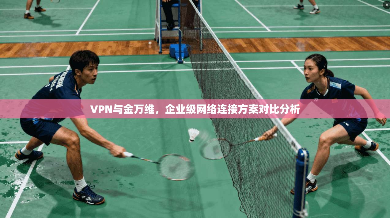 VPN与金万维,企业级网络连接方案对比分析