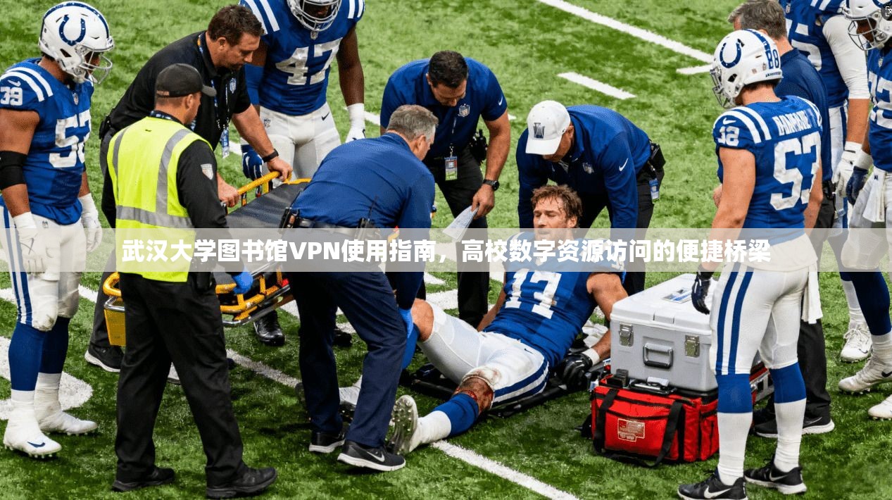 武汉大学图书馆VPN使用指南，高校数字资源访问的便捷桥梁