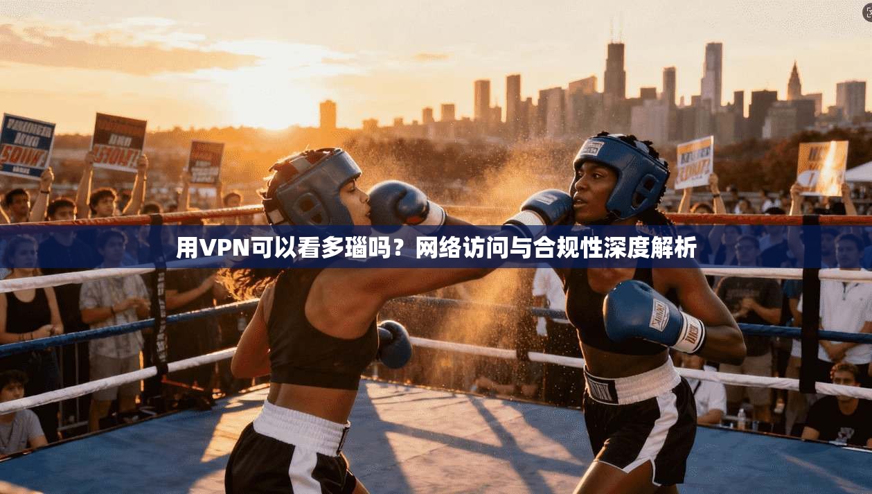 用VPN可以看多瑙吗？网络访问与合规性深度解析