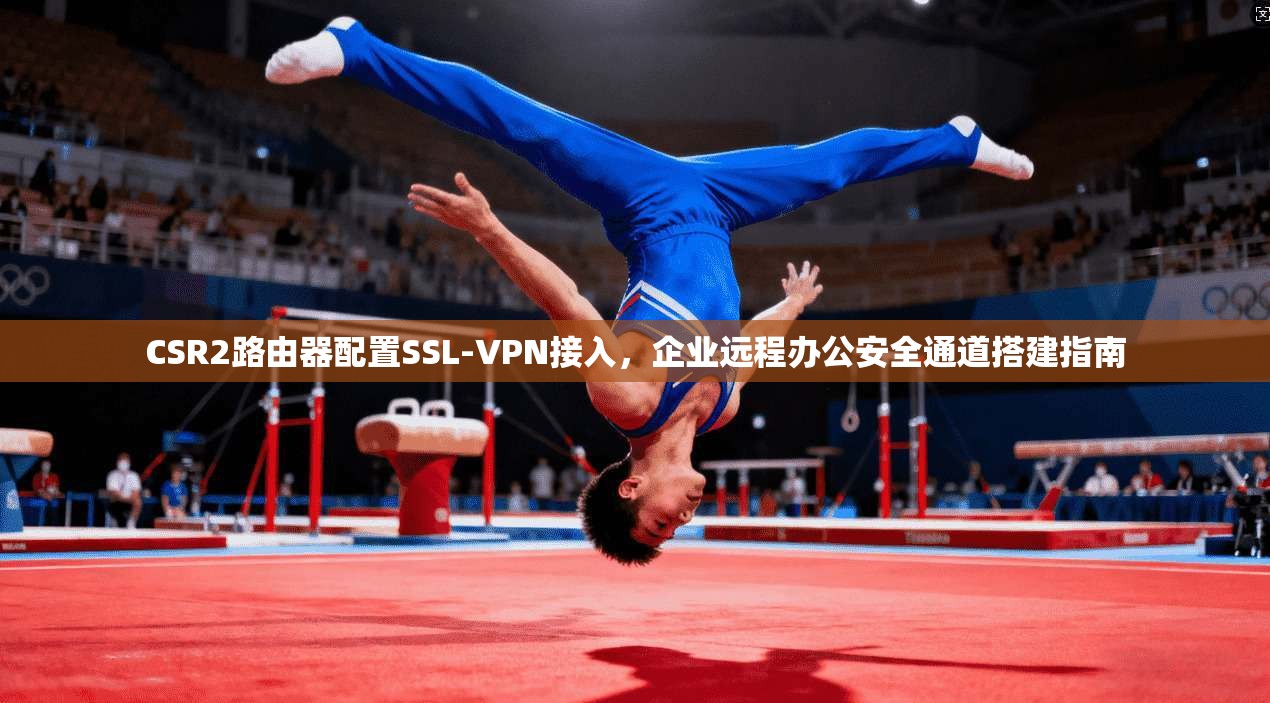CSR2路由器配置SSL-VPN接入，企业远程办公安全通道搭建指南
