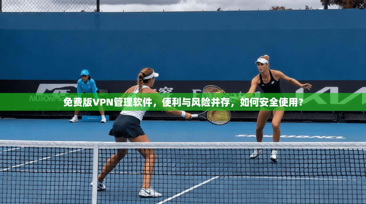免费版VPN管理软件，便利与风险并存，如何安全使用？