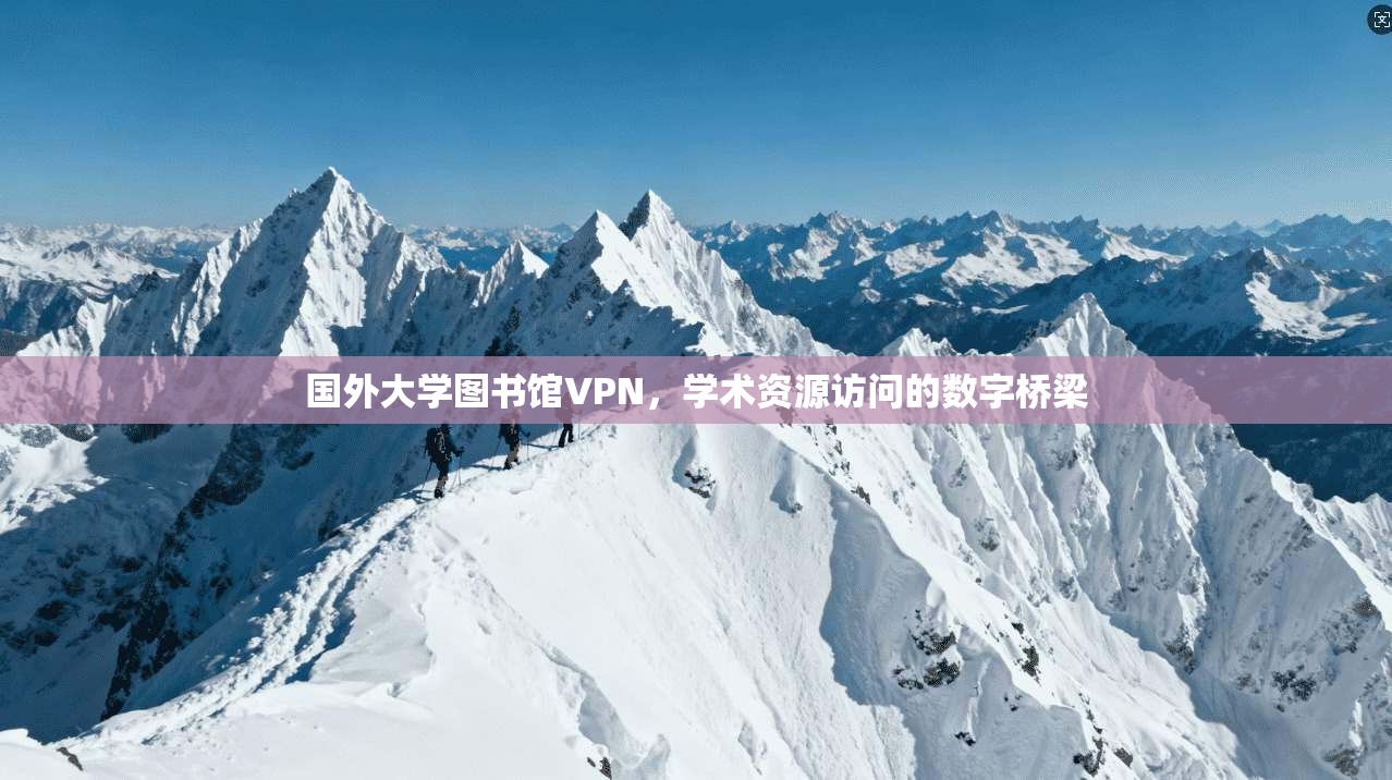 国外大学图书馆VPN，学术资源访问的数字桥梁