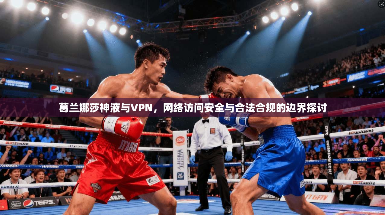 葛兰娜莎神液与VPN，网络访问安全与合法合规的边界探讨