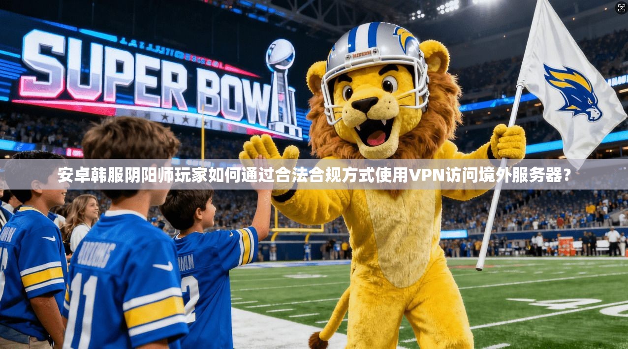 安卓韩服阴阳师玩家如何通过合法合规方式使用VPN访问境外服务器？
