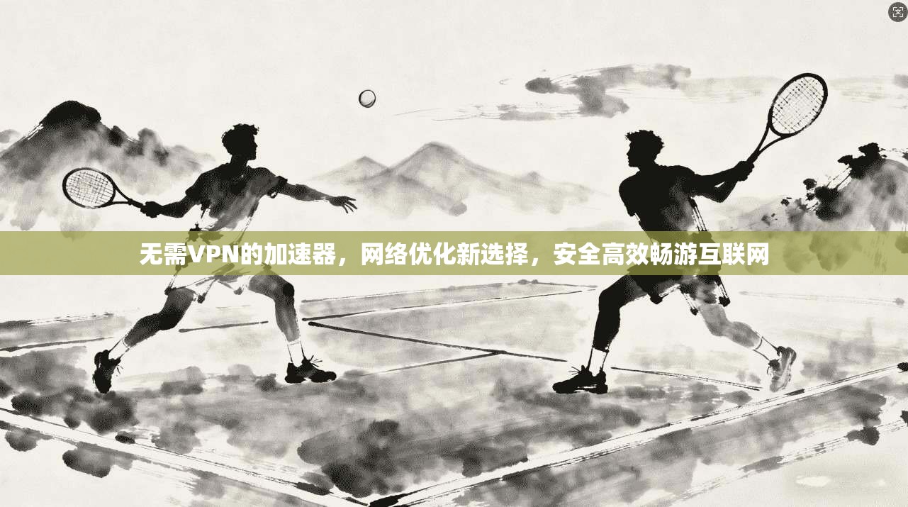 无需VPN的加速器,网络优化新选择,安全高效畅游互联网