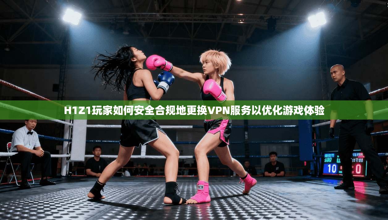 H1Z1玩家如何安全合规地更换VPN服务以优化游戏体验