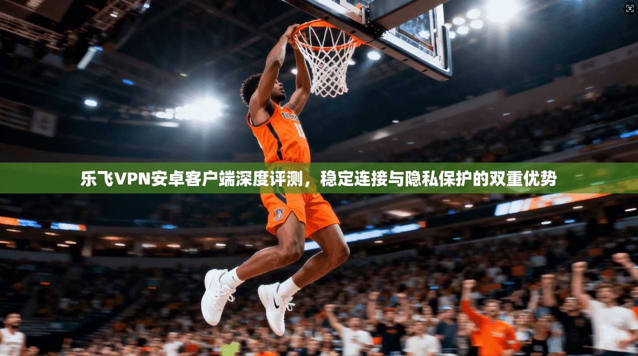 乐飞VPN安卓客户端深度评测,稳定连接与隐私保护的双重优势