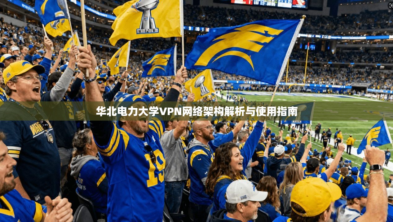 华北电力大学VPN网络架构解析与使用指南