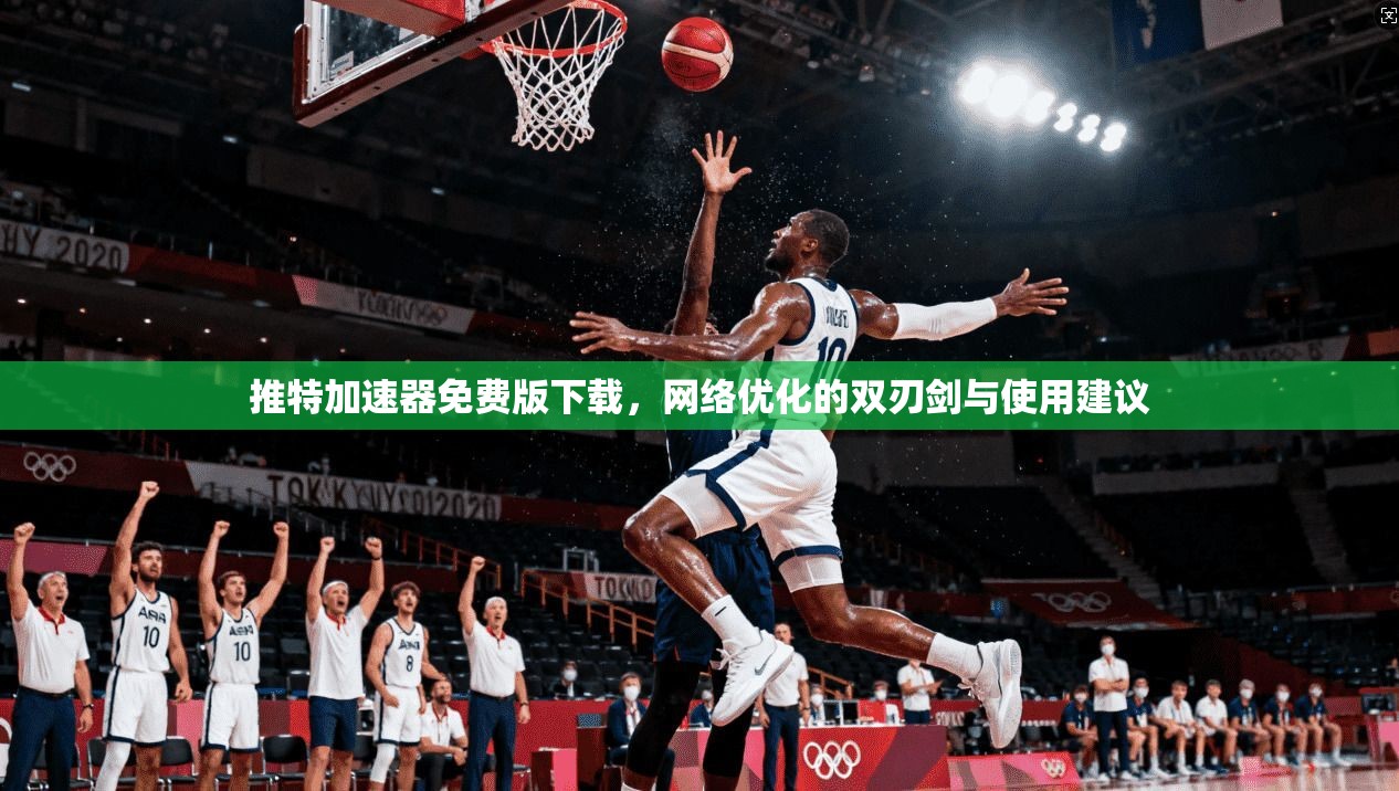 推特加速器免费版下载,网络优化的双刃剑与使用建议