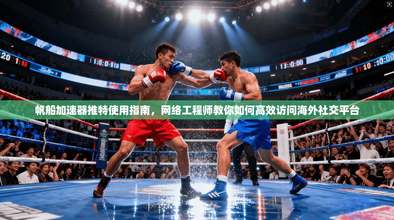 帆船加速器推特使用指南，网络工程师教你如何高效访问海外社交平台