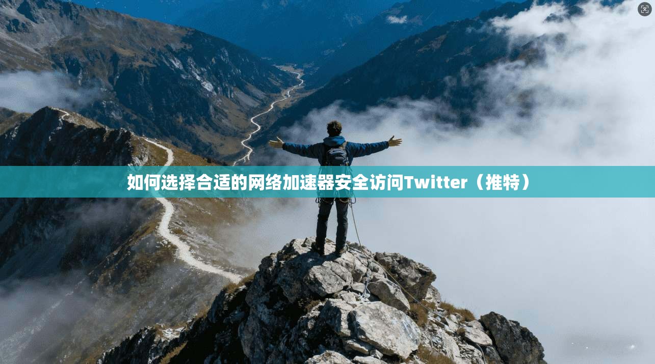 如何选择合适的网络加速器安全访问Twitter(推特)