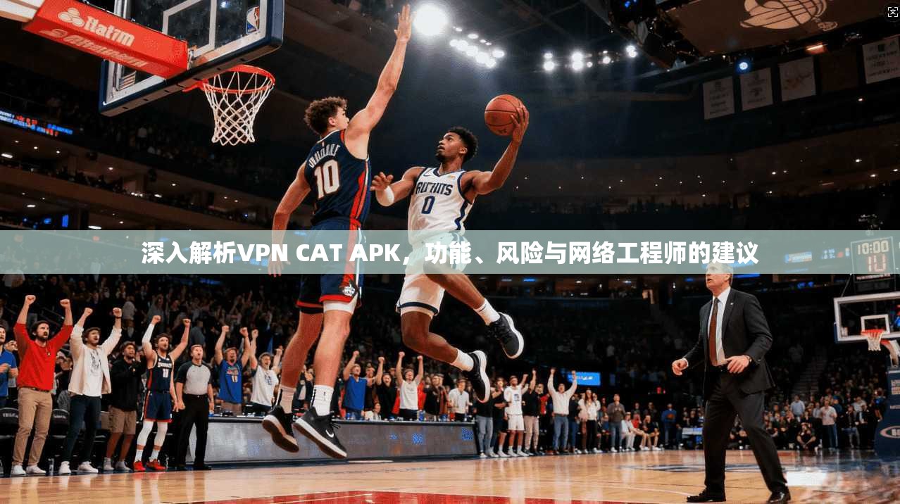 深入解析VPN CAT APK,功能、风险与网络工程师的建议