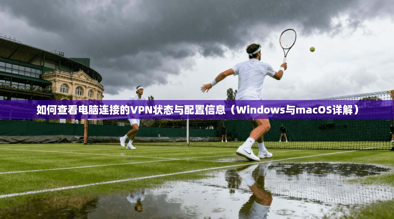 如何查看电脑连接的VPN状态与配置信息（Windows与macOS详解）