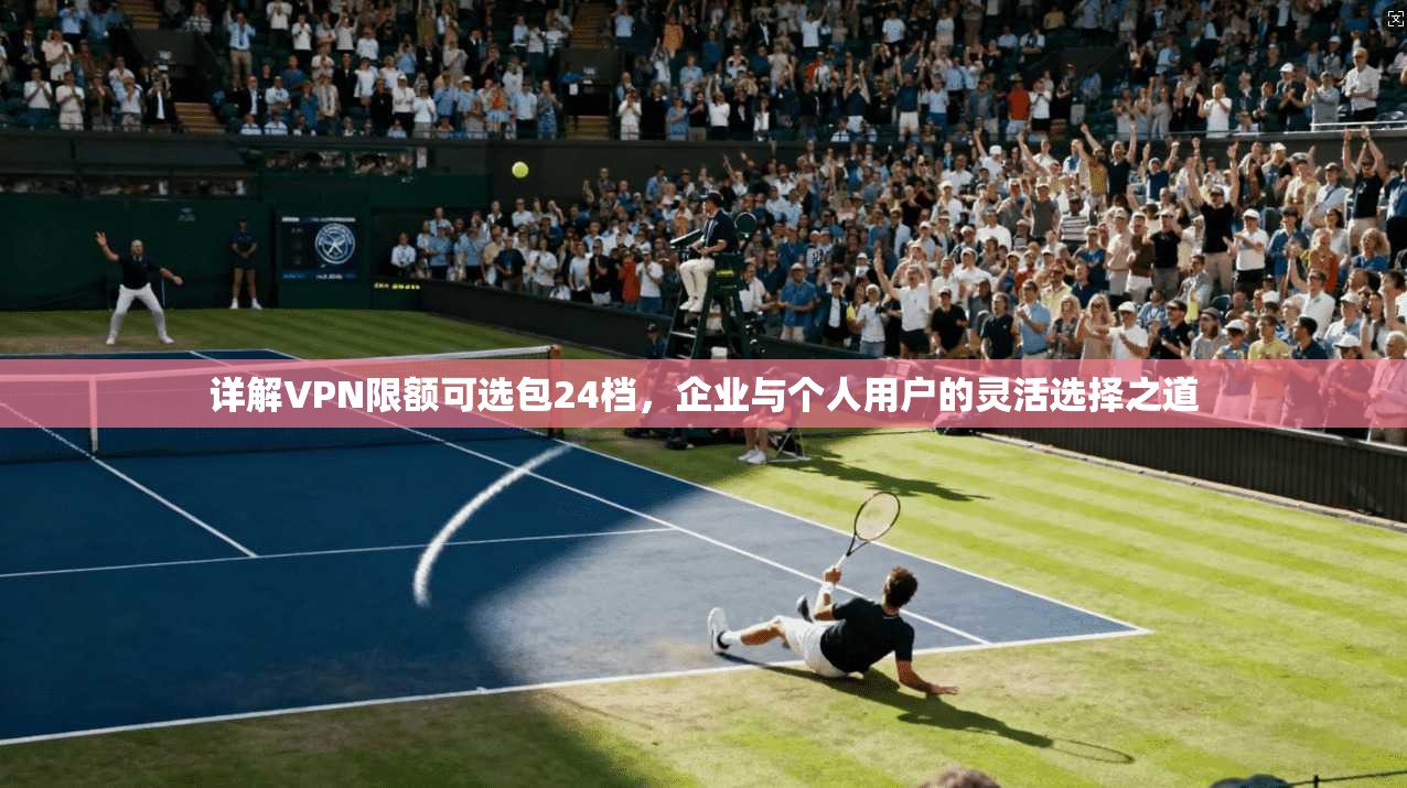 详解VPN限额可选包24档，企业与个人用户的灵活选择之道